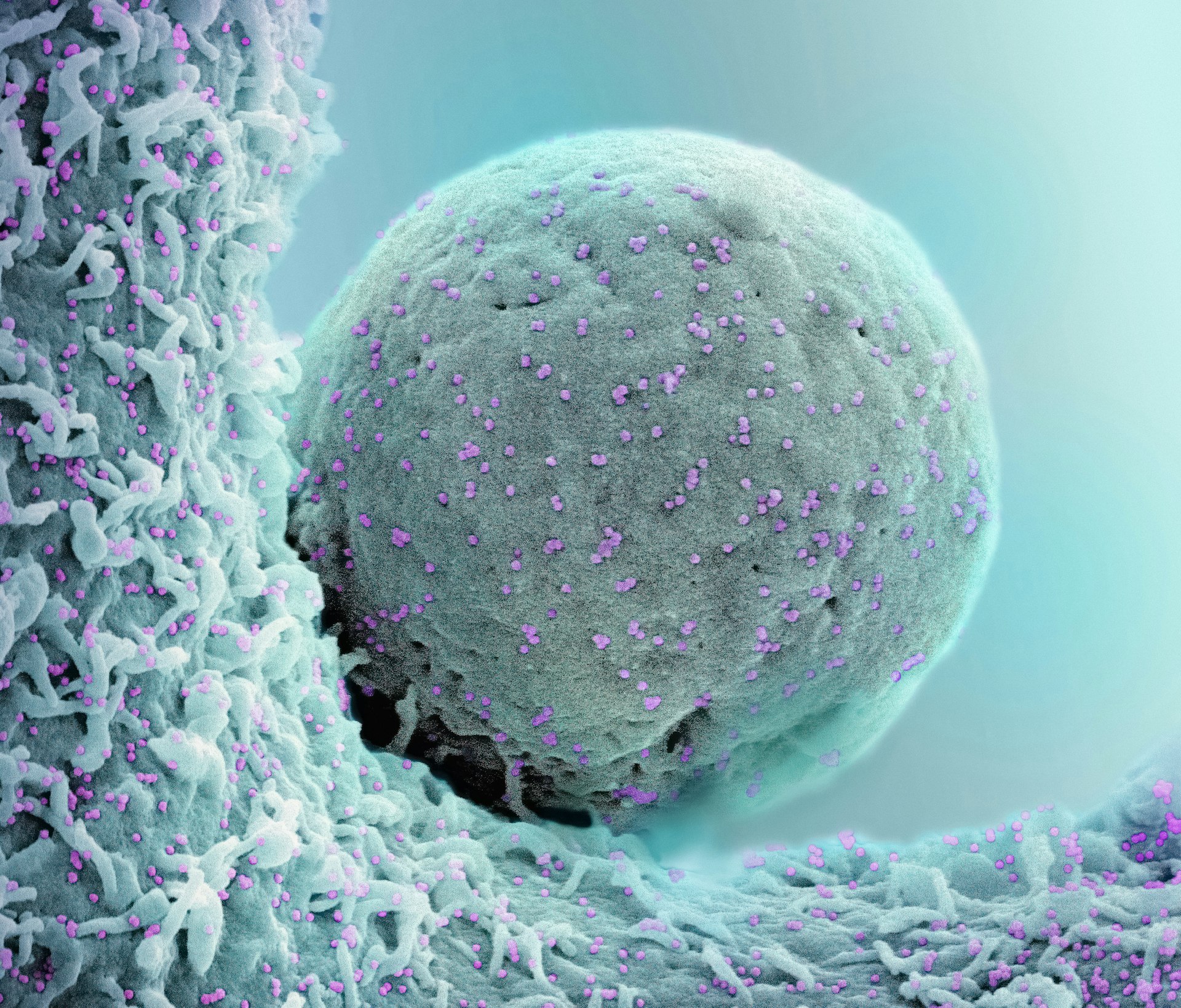 Transforming Cancer Care: The Latest Breakthroughs in Emerging Technologies